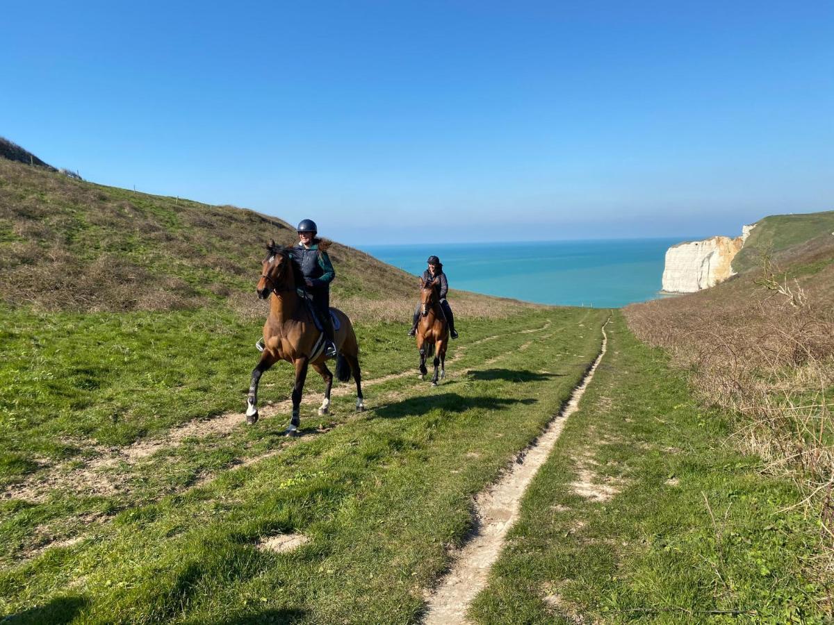 Domaine Equestre Etretat Acomodação com café da manhã Le Tilleul Exterior foto